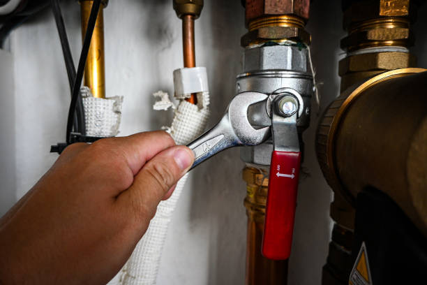 Best Pipe Repair Near Me  in Schererville, IN